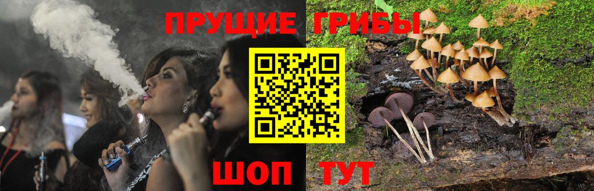 Псилоцибиновые грибы Magic Shrooms  Вход с VPN  Дзержинский  Галлюциногенные грибы Magic Shrooms 